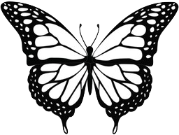 butterfly no color